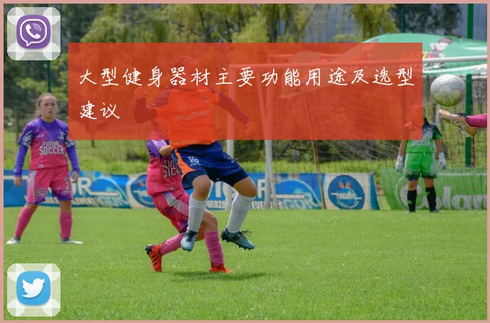 大型健身器材主要功能用途及选型建议