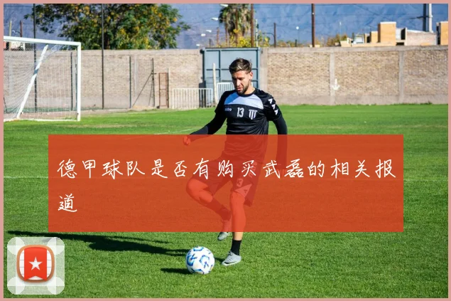 德甲球队是否有购买武磊的相关报道