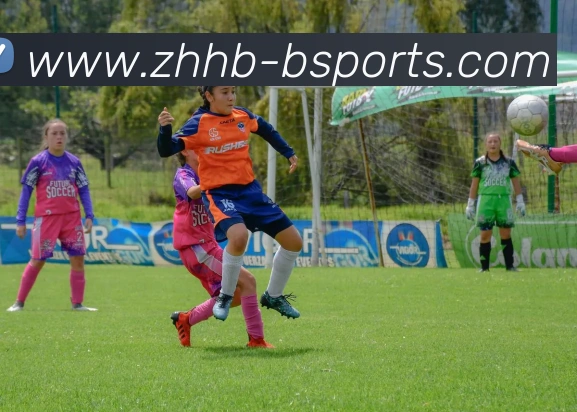 B体育Bsports平台生态图