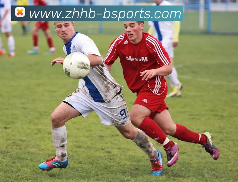 B体育Bsports全站App